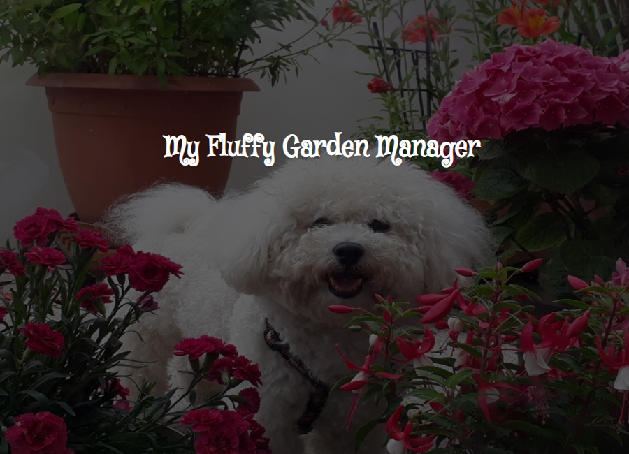 Fluffy Garden Manager